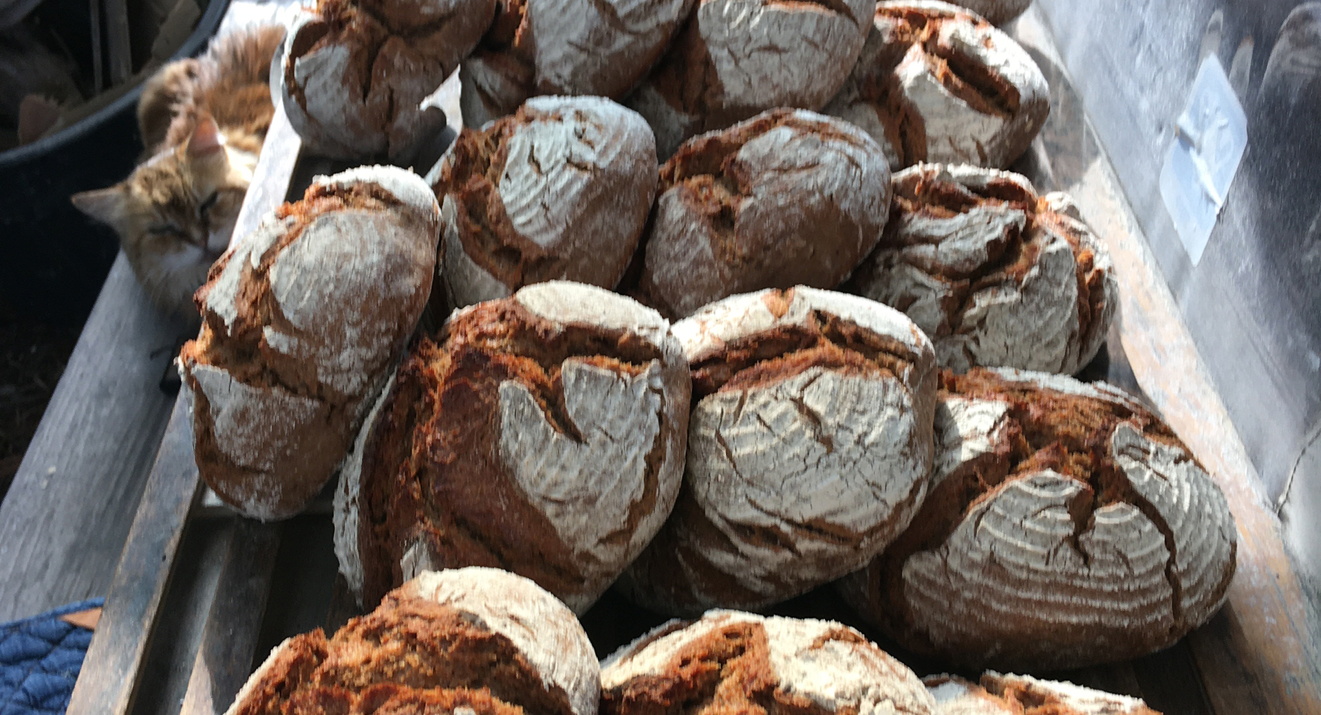 img/album/Bakster brood