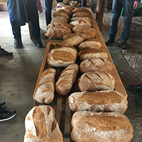 img/album/Bakster brood