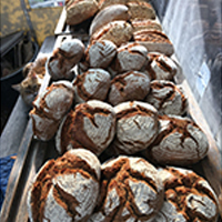 img/album/Bakster brood